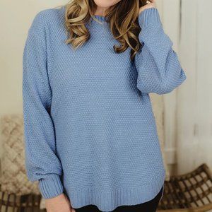 NWT Curvy Light Blue Crewneck Sweater